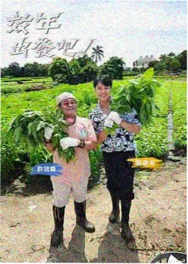 户外探险综艺